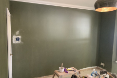paintpro-experts-services-gallery-11-scaled