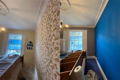 paintpro-experts-services-gallery-19